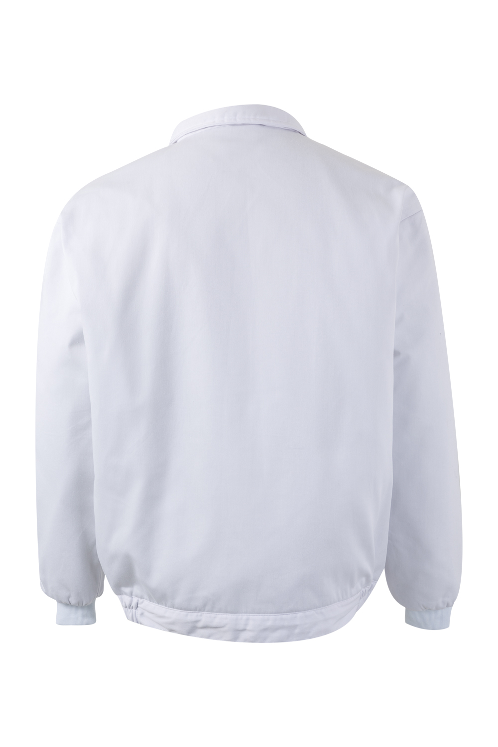 CAZADORA ACOLCHADA 256002 - Imagen 2