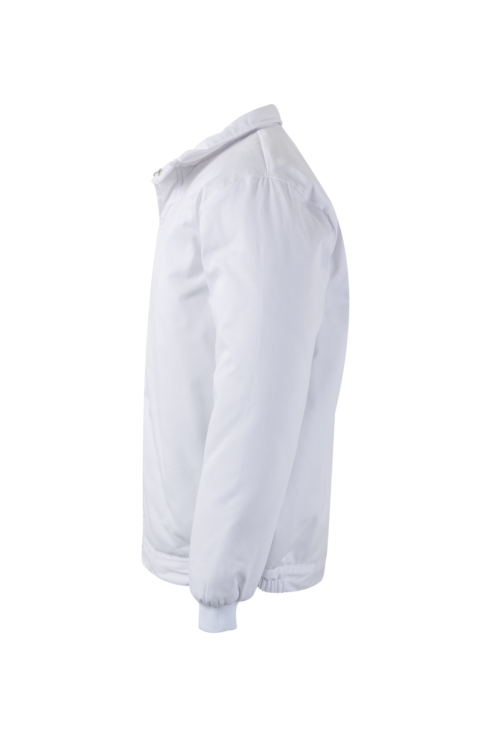 CAZADORA ACOLCHADA 256002 - Imagen 3