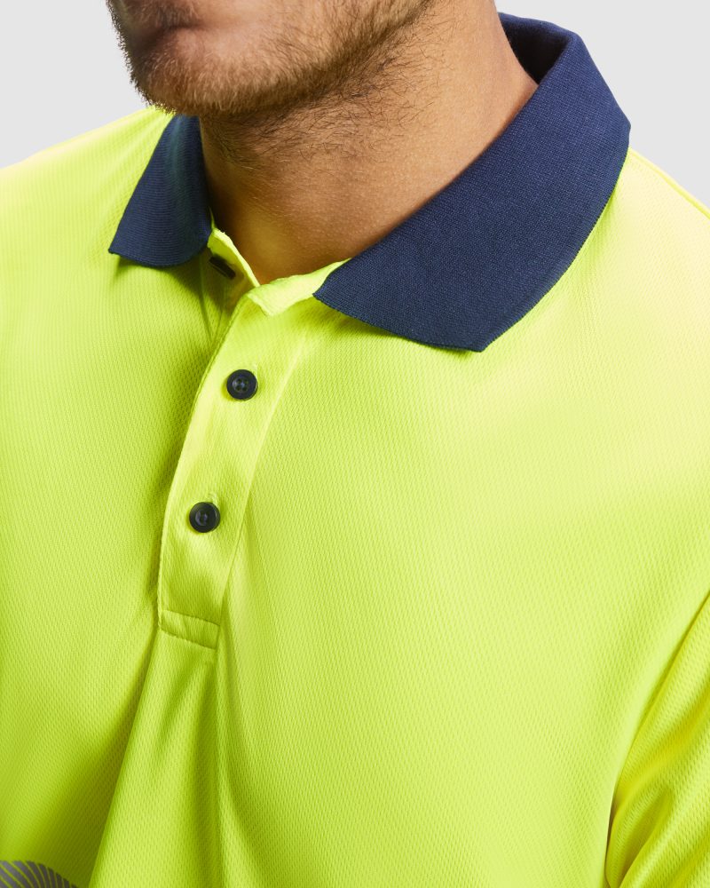 POLO VEGA - Imagen 3
