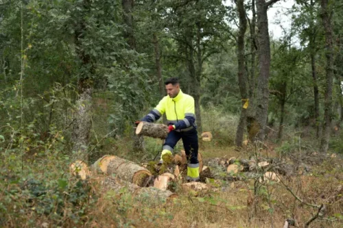 POLAR PLANET HV POLAR FLEECE